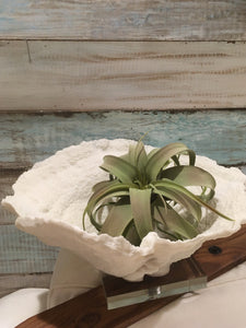 Extra Large Faux Airplant