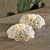Ceramic Urchin Votive Cup