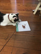 When You Love a Cat