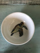 Old Soul Turtle Little Dipper Four Bag