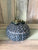 Ocean Blue Urchin 7.5" Ceramic Box