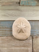 Shell Sea Biscuit Wall Decor