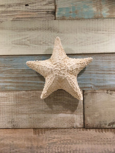 Caribbean Starfish Wall Decor
