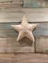 Caribbean Starfish Wall Decor
