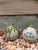 2022 Hand Painted Key West Ornament