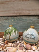 2022 Hand Painted Key West Ornament