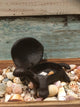 Cast Iron Turtle Hinged Box