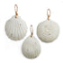 Ceramic Clam Shell Wall Art - Set of Three