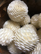 Shell Ball