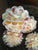 Shell Ball