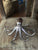Octopus Tiger Shell Shelf Sitter