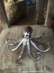 Octopus Tiger Shell Shelf Sitter