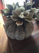 Terracotta Sea Urchin Vase - Large