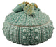 Turquoise Urchin 7.5" Ceramic Box